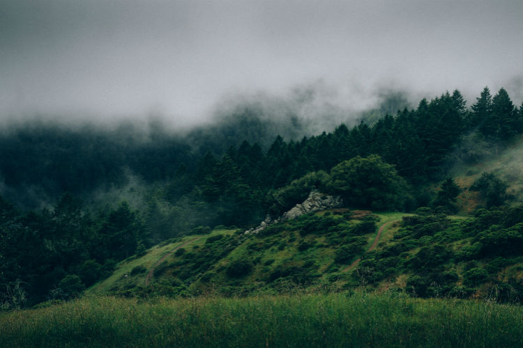 骚扰短信呼叫软件